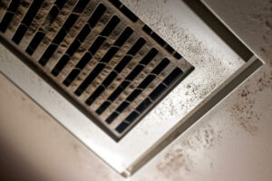 lint and dirt particles on a ceiling air vent